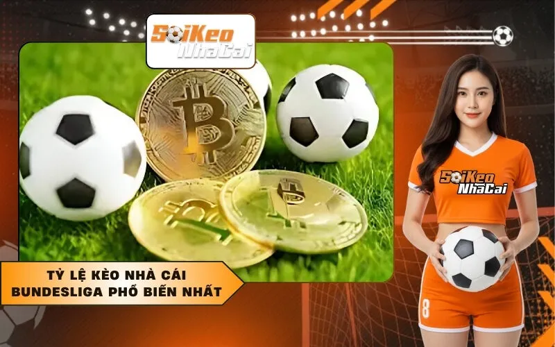 Tỷ lệ kèo nhà cái Bundesliga phổ biến nhất